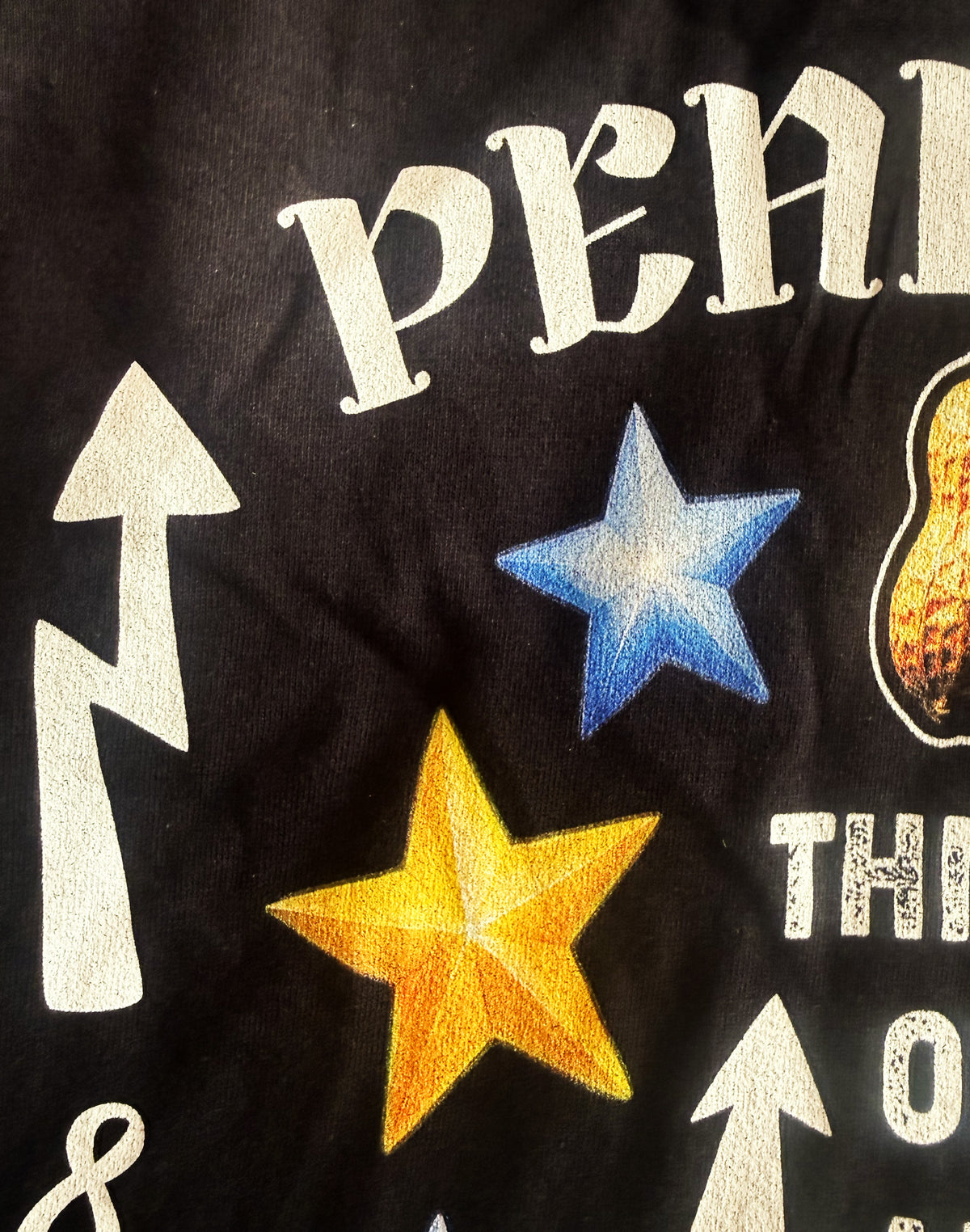 Black Unisex Premium Heavyweight Back-Design Tee "Peanuts & Gold Stars" by Designer and Artist Lucas Gillon
